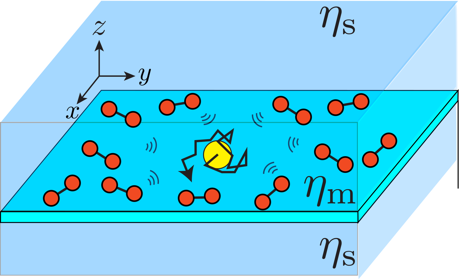 Active diffusion in a membrane